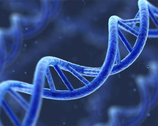 Genetics DNA Paternity Tests Mauritius